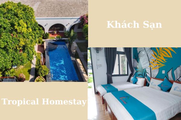 Khách Sạn Tropical Homestay